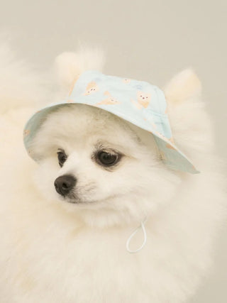 CAT&DOG Hat