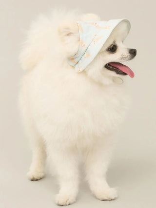 CAT&DOG Hat