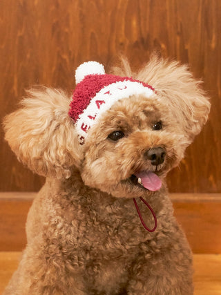 [HOLIDAY] [CAT & DOG] Baby Moco Santa Knit Cap