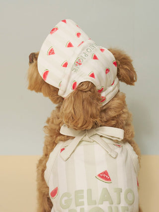 [CAT&DOG] Soft Pet Hat