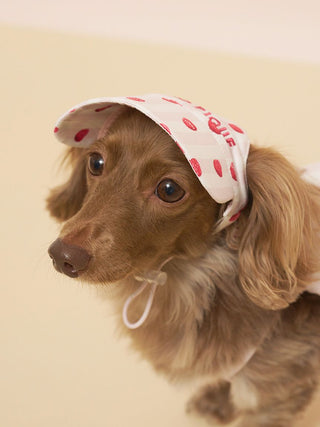 [CAT&DOG] Soft Pet Hat