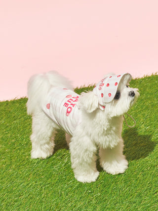 [CAT&DOG] Soft Pet Hat