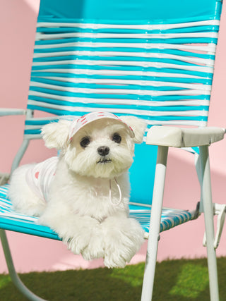[CAT&DOG] Soft Pet Hat