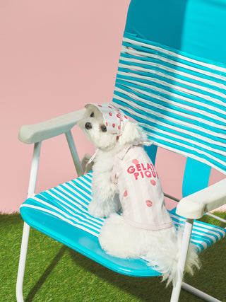 [CAT&DOG] Soft Pet Hat