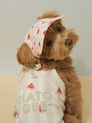 [CAT&DOG] Soft Pet Hat