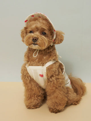 [CAT&DOG] Soft Pet Hat