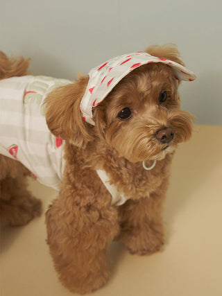 [CAT&DOG] Soft Pet Hat