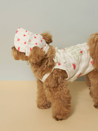 [CAT&DOG] Soft Pet Hat