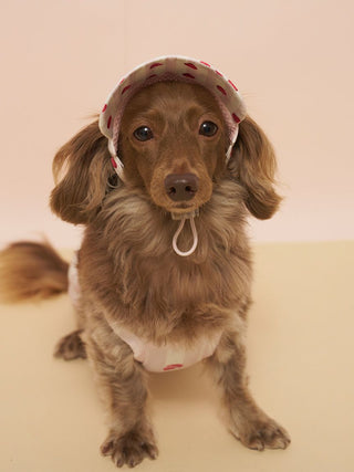[CAT&DOG] Soft Pet Hat