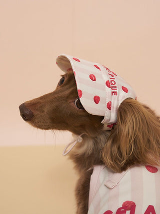 [CAT&DOG] Soft Pet Hat