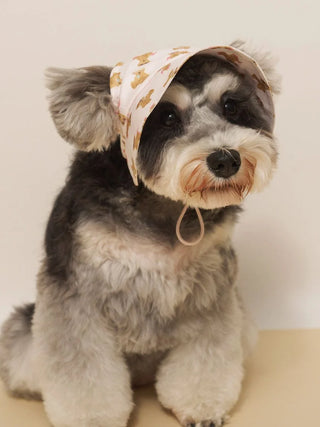 [CAT&DOG] Summer Bear Pet Hat
