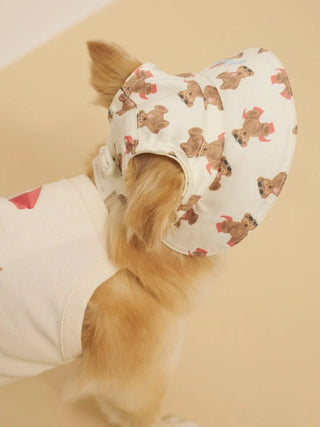 [CAT&DOG] Summer Bear Pet Hat