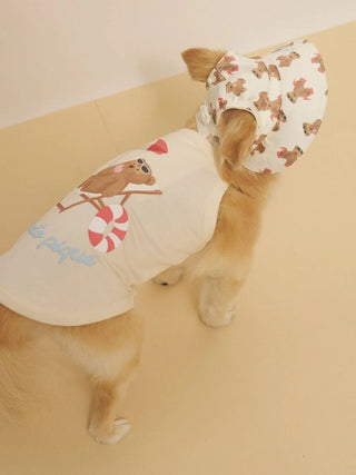 [CAT&DOG] Summer Bear Pet Hat