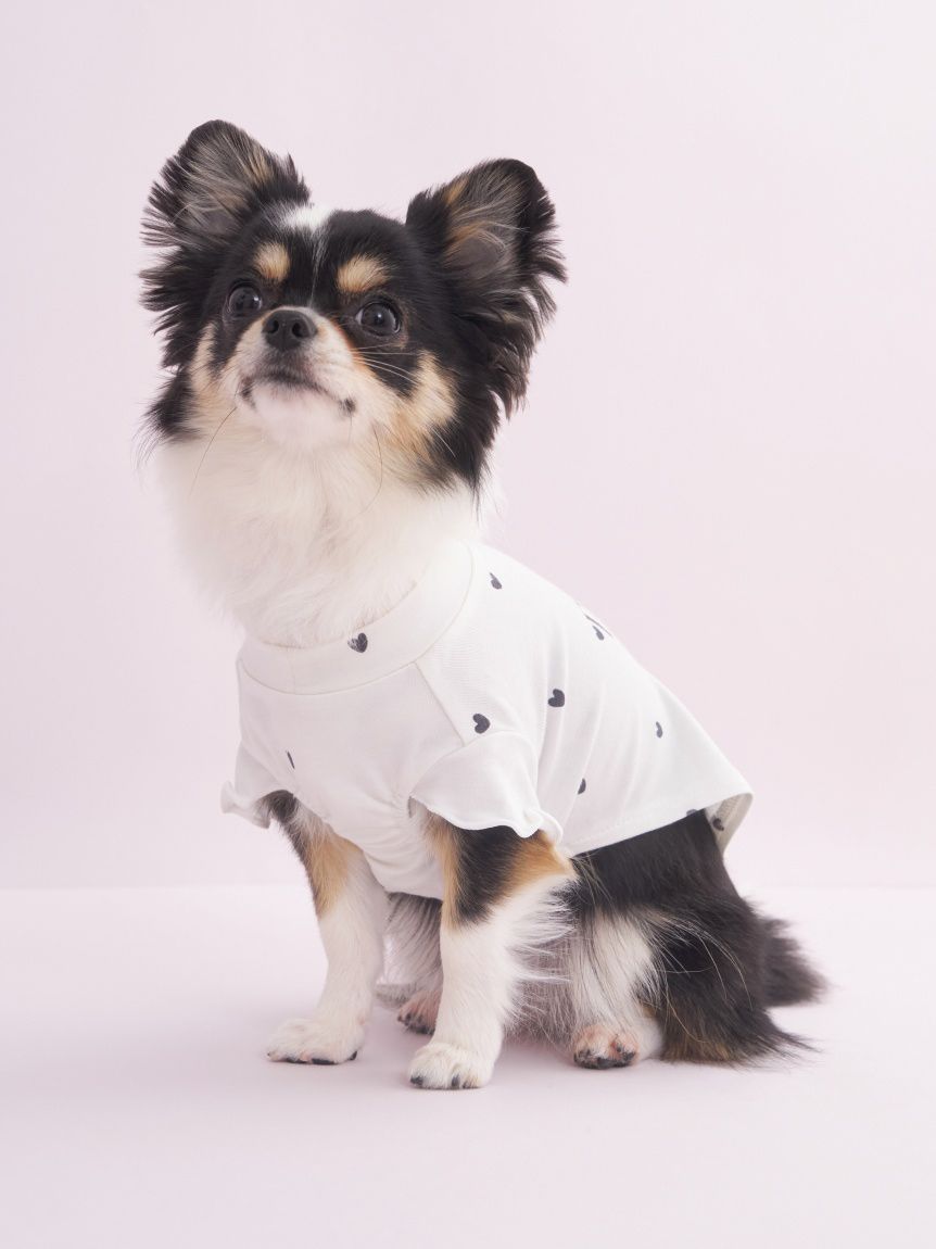 [CAT&DOG] Cool-touch Heart Pet Pullover