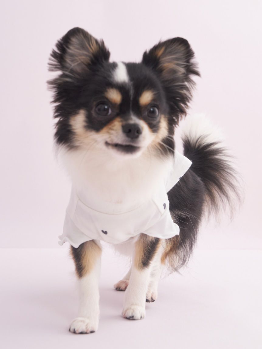 [CAT&DOG] Cool-touch Heart Pet Pullover