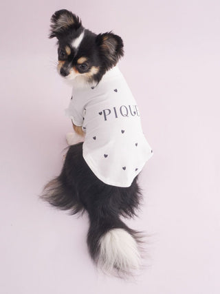 [CAT&DOG] Cool-touch Heart Pet Pullover