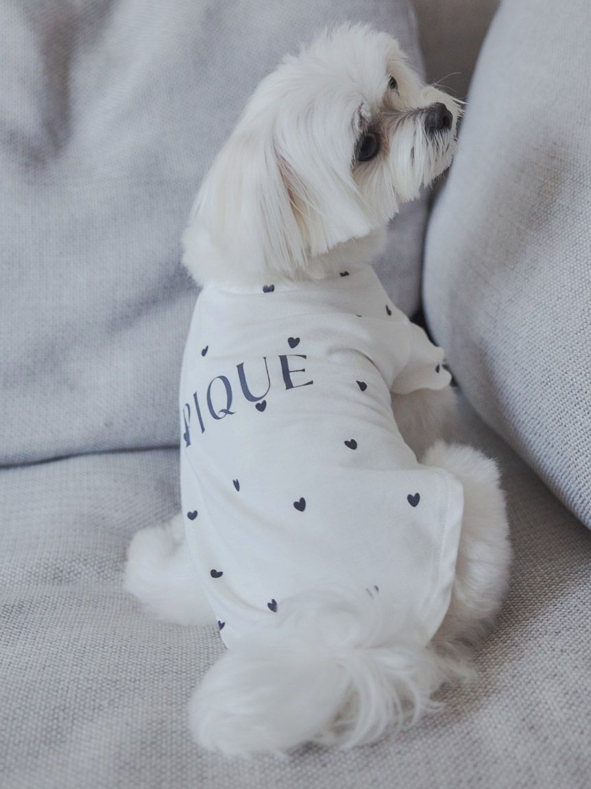 [CAT&DOG] Cool-touch Heart Pet Pullover