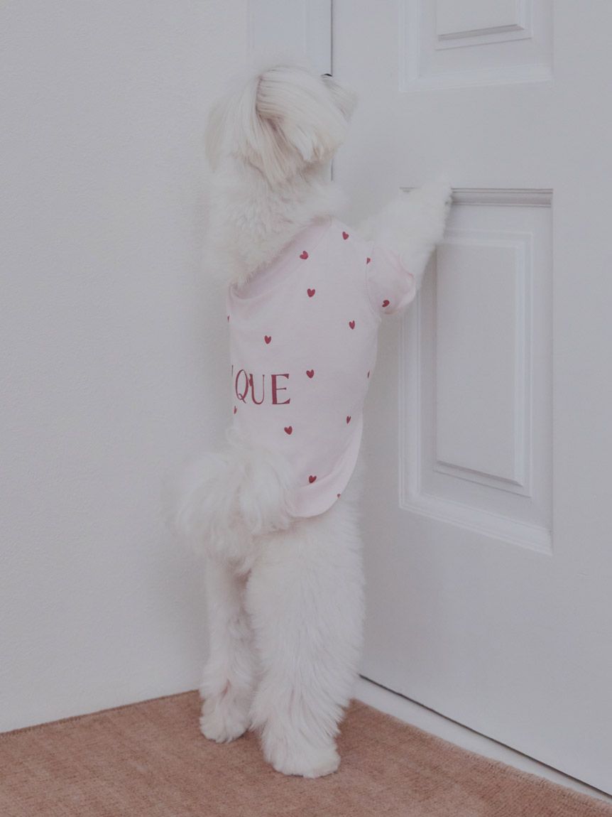 [CAT&DOG] Cool-touch Heart Pet Pullover