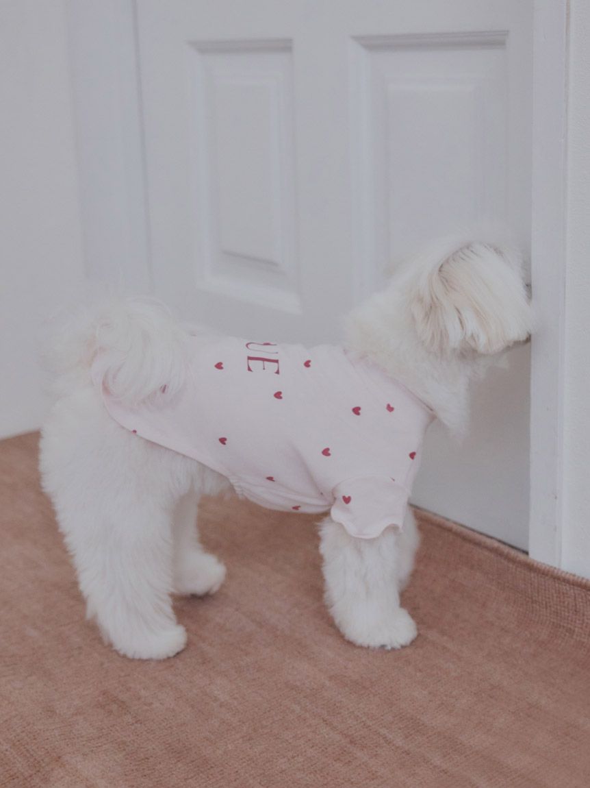 [CAT&DOG] Cool-touch Heart Pet Pullover