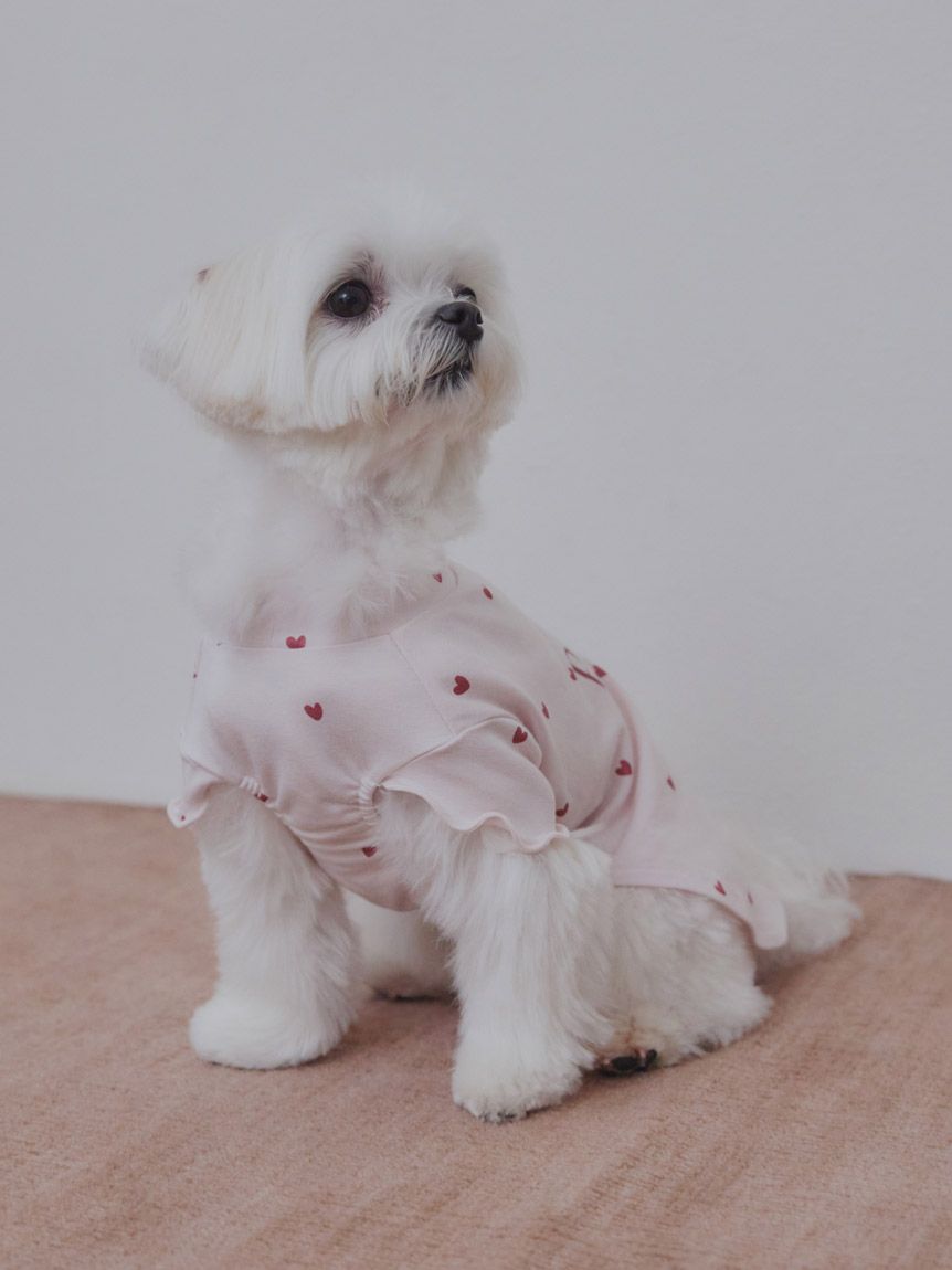 [CAT&DOG] Cool-touch Heart Pet Pullover