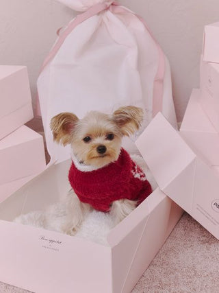 [HOLIDAY][CAT&DOG] Glittering Feather Pet Pullover