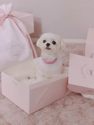 [HOLIDAY][CAT&DOG] Glittering Feather Pet Pullover