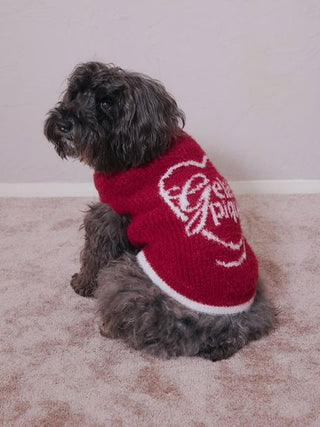 [HOLIDAY][CAT&DOG] Glittering Feather Pet Pullover
