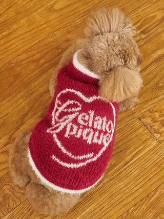 [HOLIDAY][CAT&DOG] Glittering Feather Pet Pullover