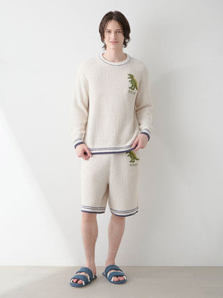 Mens Waffle Dinosaur Shorts