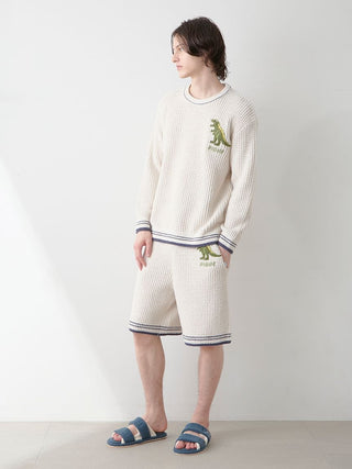 Mens Waffle Dinosaur Pullover