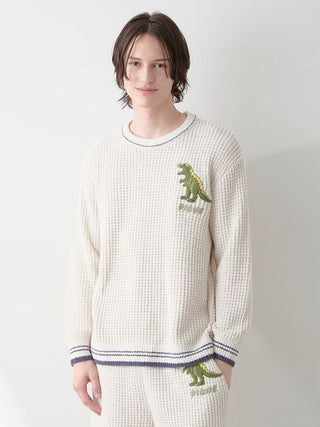 Mens Waffle Dinosaur Pullover