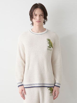Mens Waffle Dinosaur Pullover