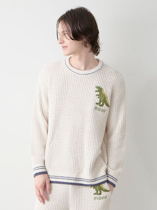Mens Waffle Dinosaur Pullover