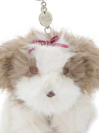 Shih Tzu Charm