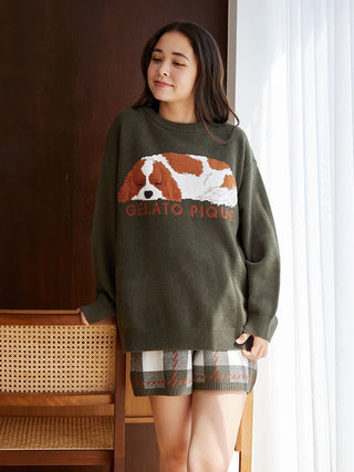 SLEEPING DOG Pullover Sweater in Green, Women's Pullover Sweaters at Gelato Pique USA