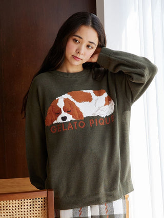 SLEEPING DOG Pullover Sweater in Green, Women's Pullover Sweaters at Gelato Pique USA