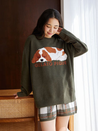 SLEEPING DOG Pullover Sweater in Green, Women's Pullover Sweaters at Gelato Pique USA