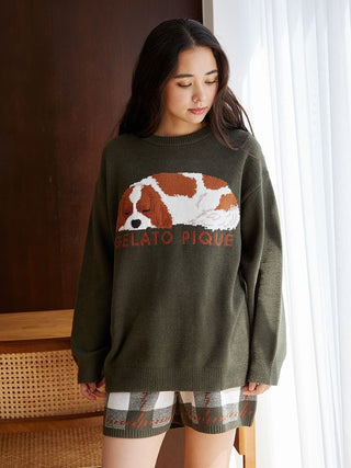 SLEEPING DOG Pullover Sweater in Green, Women's Pullover Sweaters at Gelato Pique USA