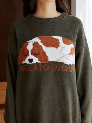 SLEEPING DOG Pullover Sweater in Green, Women's Pullover Sweaters at Gelato Pique USA