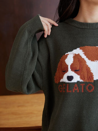 SLEEPING DOG Pullover Sweater in Green, Women's Pullover Sweaters at Gelato Pique USA