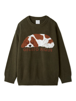 SLEEPING DOG Pullover Sweater in Green, Women's Pullover Sweaters at Gelato Pique USA