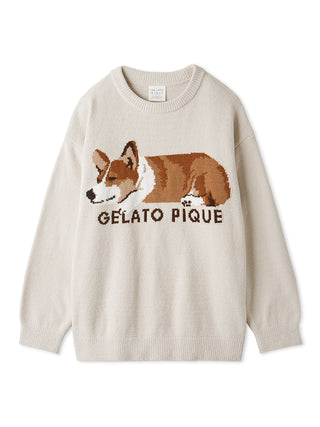 SLEEPING DOG Pullover Sweater in Beige, Women's Pullover Sweaters at Gelato Pique USA