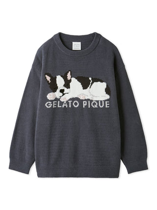 SLEEPING DOG Pullover Sweater in Navy, Women's Pullover Sweaters at Gelato Pique USA