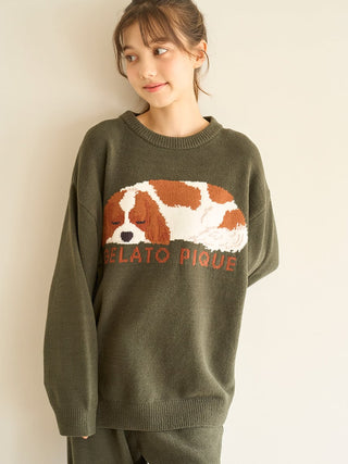 Air Moco SLEEPING DOG Jacquard Pullover Sweater & Lounge Pants SET