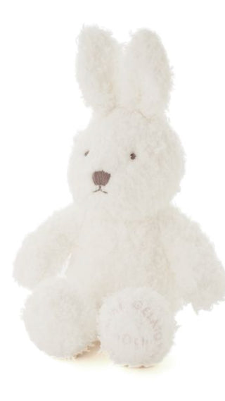 Fluffy Rabbit Plush Toy