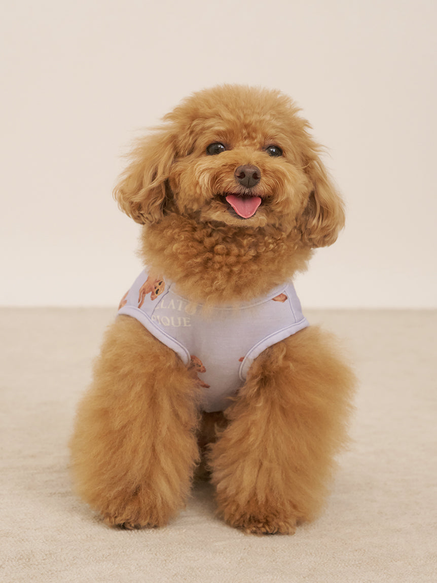 CAT&DOG Summer Toy Poddle Pet Clothes