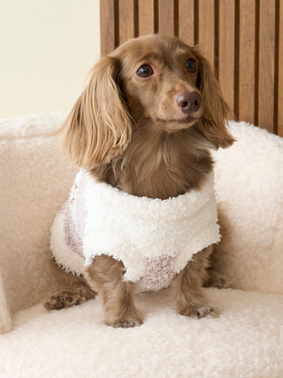 [CAT&DOG] Gelato Pique 2 Border Pet Pullover