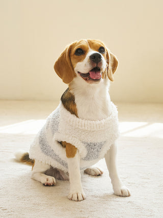 [CAT&DOG] XL-size Gelato Melange 2 Border Pet Pullover