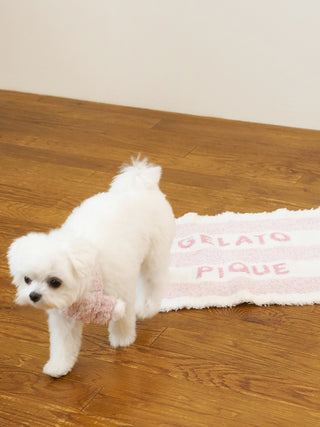 [CAT&DOG] Gelato Pique 2 Border Pet Blanket