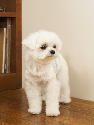 [CAT&DOG] Gelato Pique 2 Border Pet Pullover